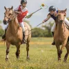 Promo-Polocrosse