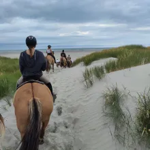 Entre les dunes en file indienne